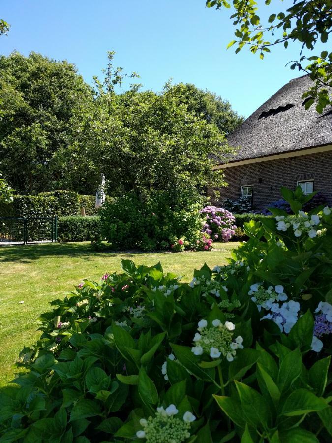 B&B Agnetenhoeve Overasselt Zewnętrze zdjęcie